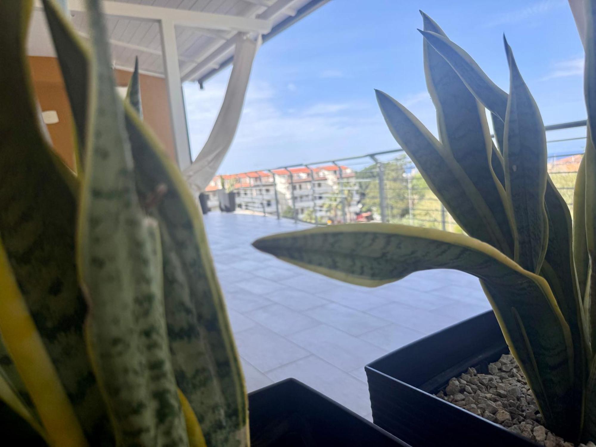 B&B Margani Tropea Zewnętrze zdjęcie